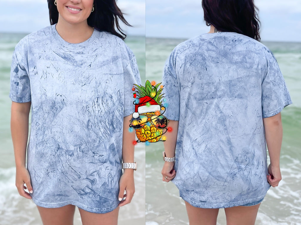 Christmas Pineapple — christmas-pineapple_CB1745Ocean01.jpg