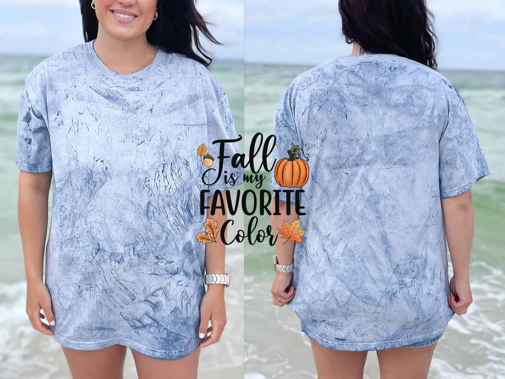 Fall Is My Favorite Color — fall-is-my-favorite-color-2_CB1745Ocean01.jpg