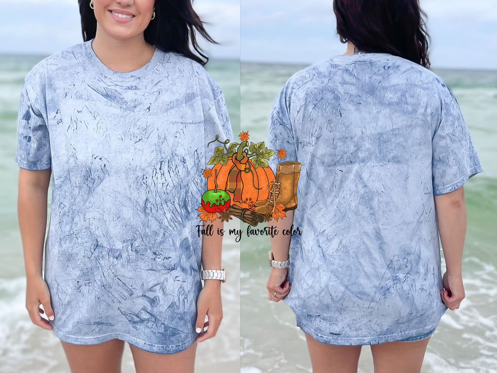 Fall Is My Favorite Color — fall-is-my-favorite-color_CB1745Ocean01.jpg