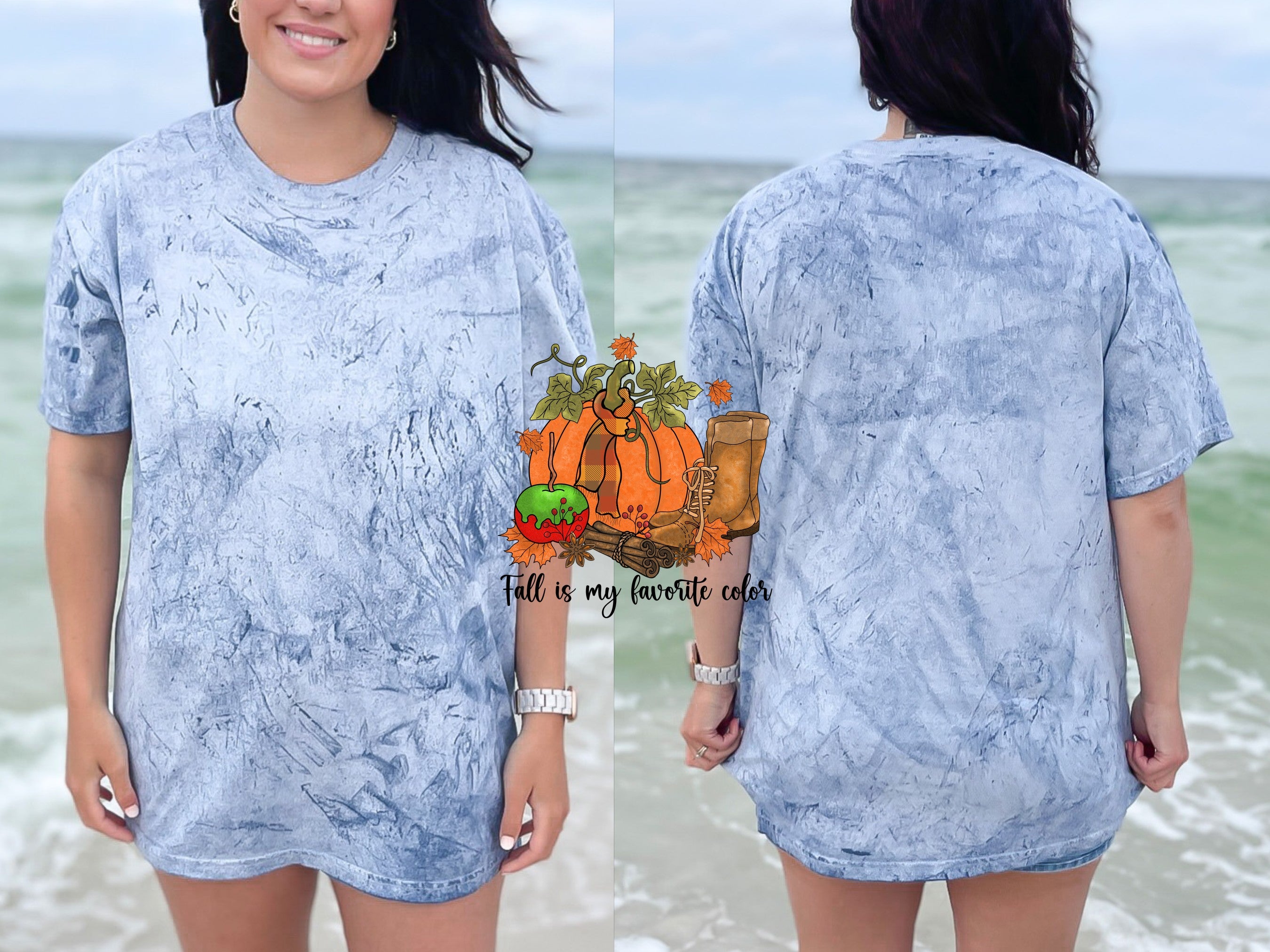 Fall Is My Favorite Color — fall-is-my-favorite-color_CB1745Ocean01.jpg