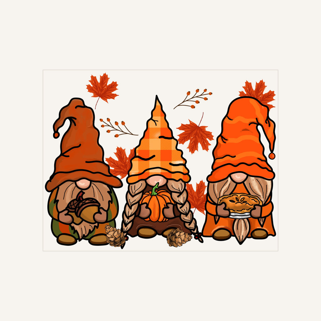 Gnome — gnome_Transfer Mock Up.jpg