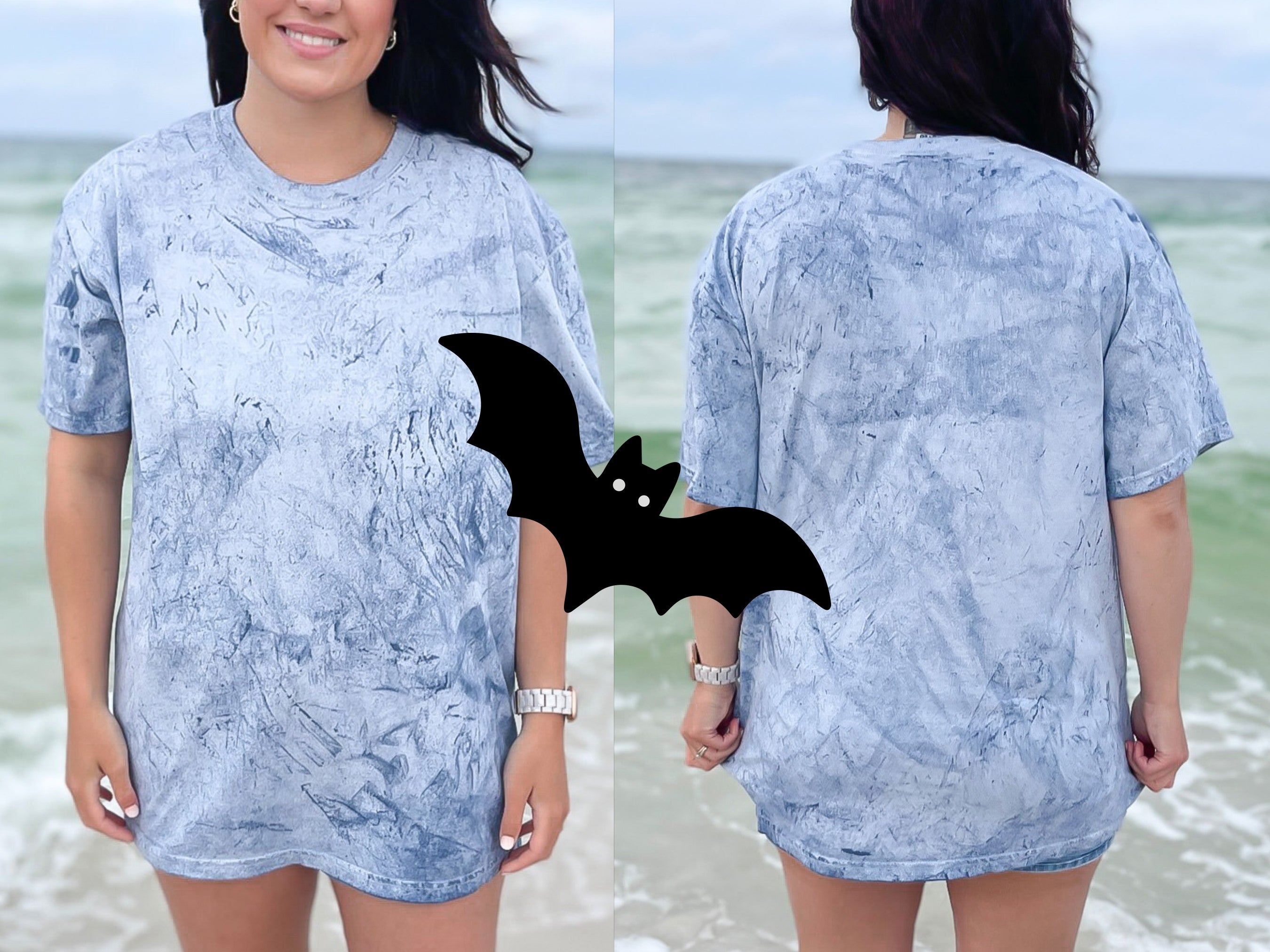 Gray Hanging Bat — gray-hanging-bat_CB1745Ocean01.jpg