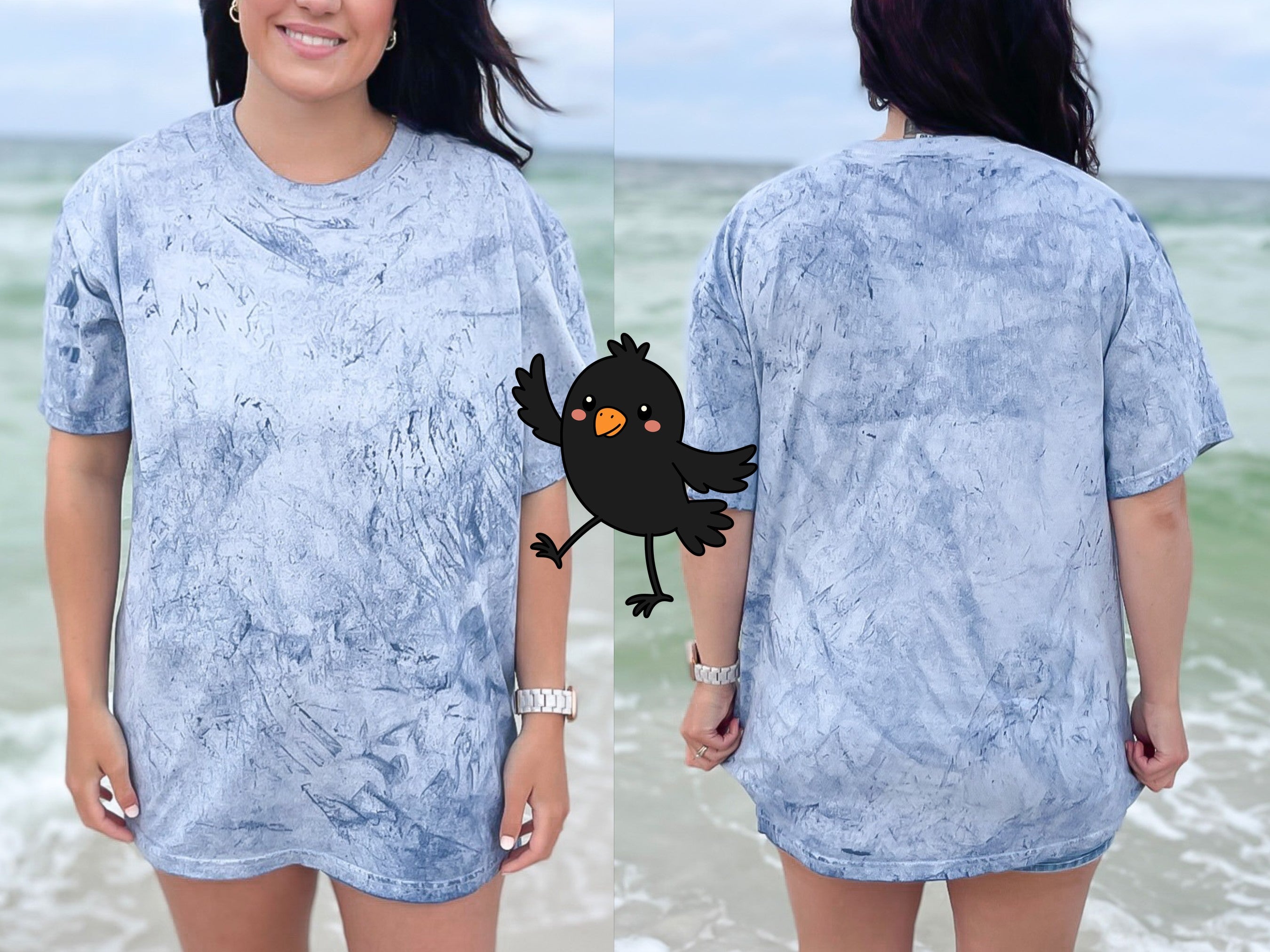 Happy Waving Crow — happy-waving-crow_CB1745Ocean01.jpg