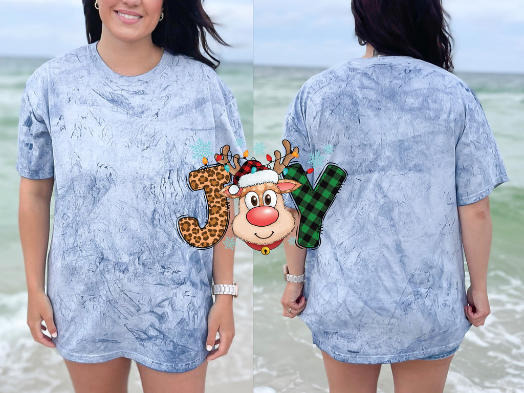 Joy Reindeer — joy-reindeer_CB1745Ocean01.jpg