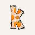 K 1 — k-1-2_Transfer Mock Up.jpg