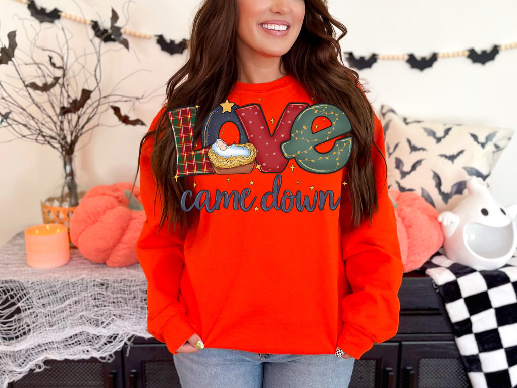 Love Came Down — love-came-down_G18000Orange01.jpg